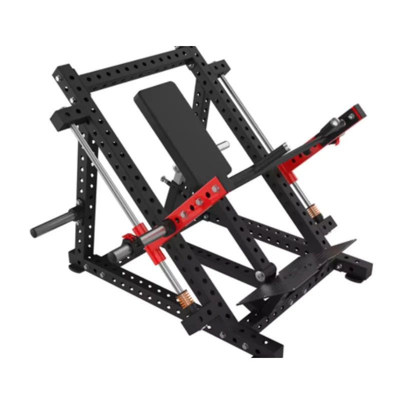 Dual Track Rowing 175