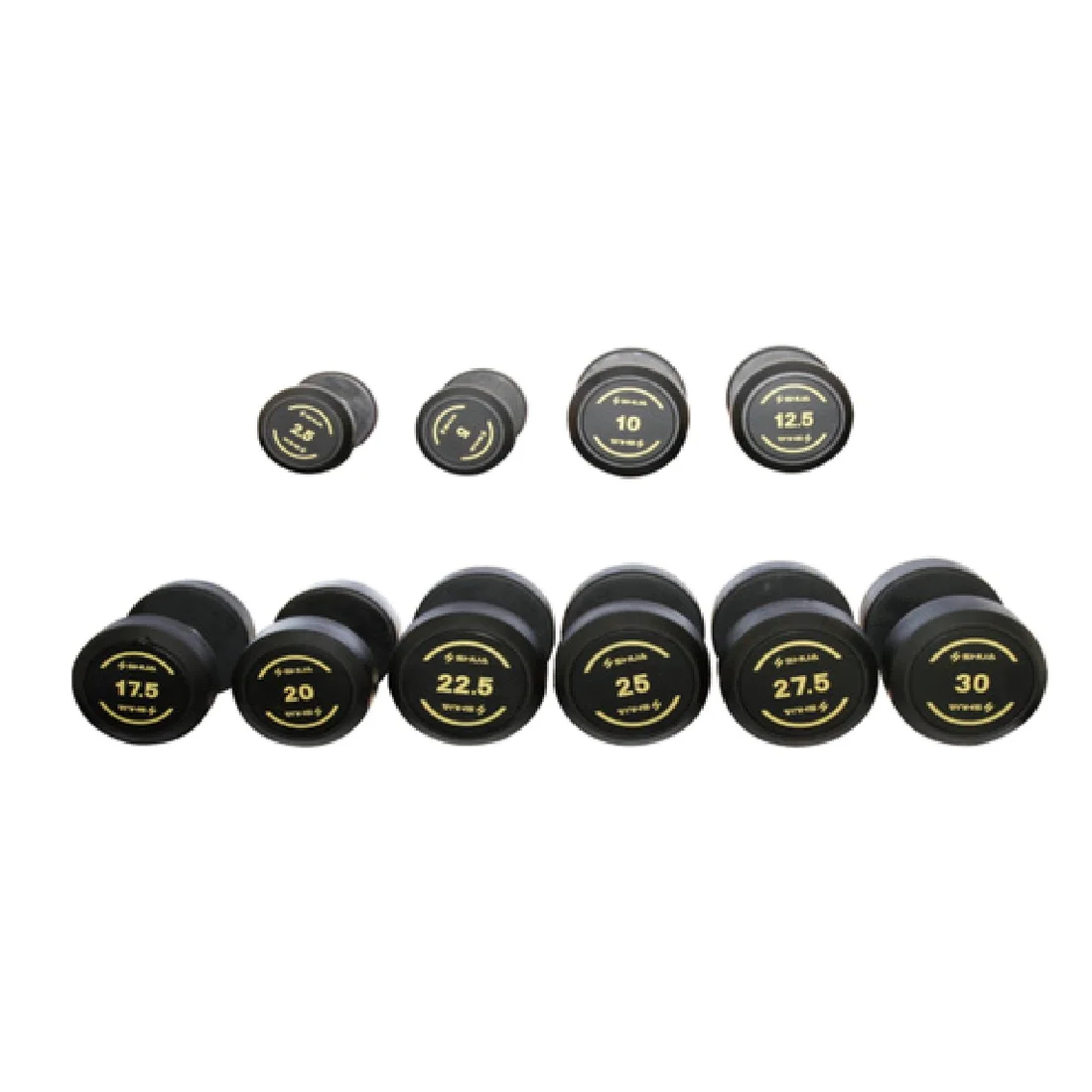Dumbbell Set R390 Con Rack