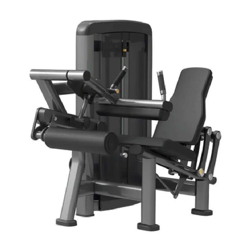 Seated Leg Curl/Extension 1081