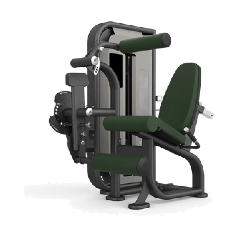 Seated Leg Curl/Extension 6823