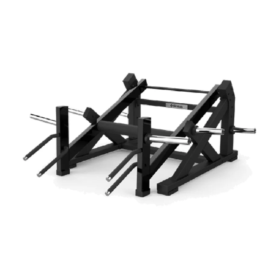 Squat Lunge 8914